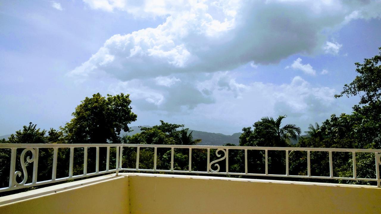 מלון קינגסטון Jacks Hill Tropical Arcadia מראה חיצוני תמונה