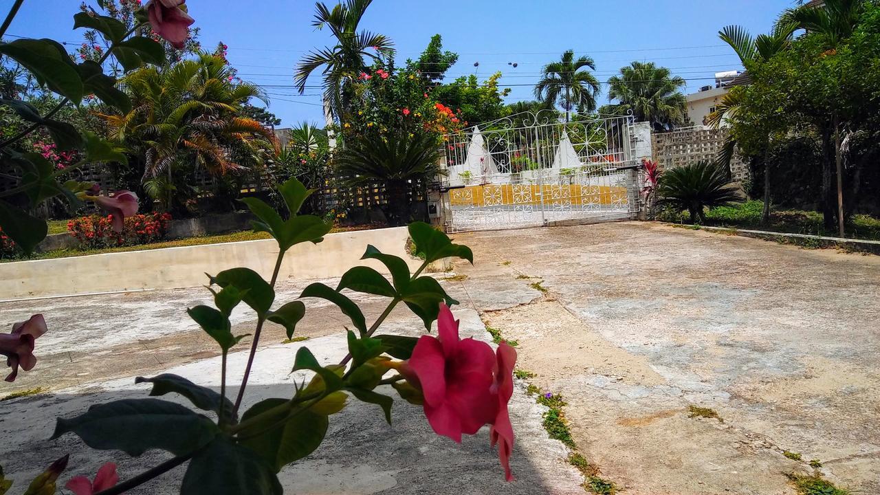 מלון קינגסטון Jacks Hill Tropical Arcadia מראה חיצוני תמונה